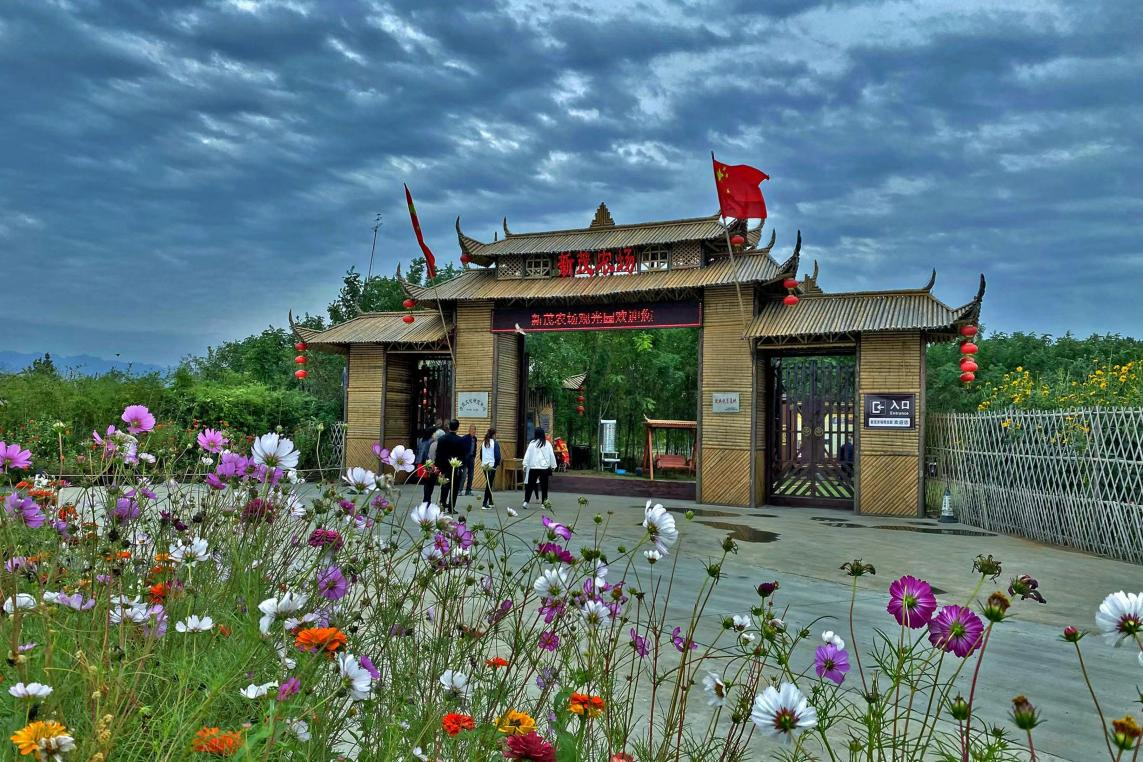 图片21.png