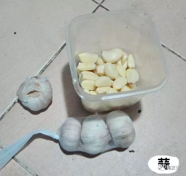 狗狗微量元素哪个牌子好