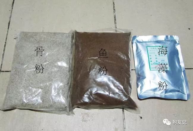 狗狗微量元素哪个牌子好