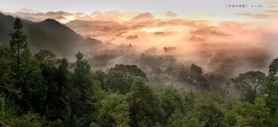 贵州哪些地方产富硒茶