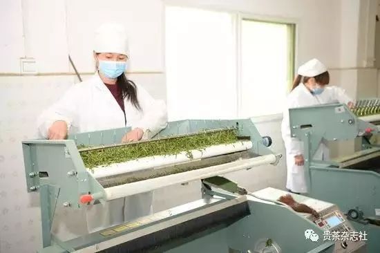贵州哪些地方产富硒茶