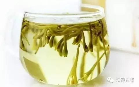 富硒茶喝了容易拉肚子