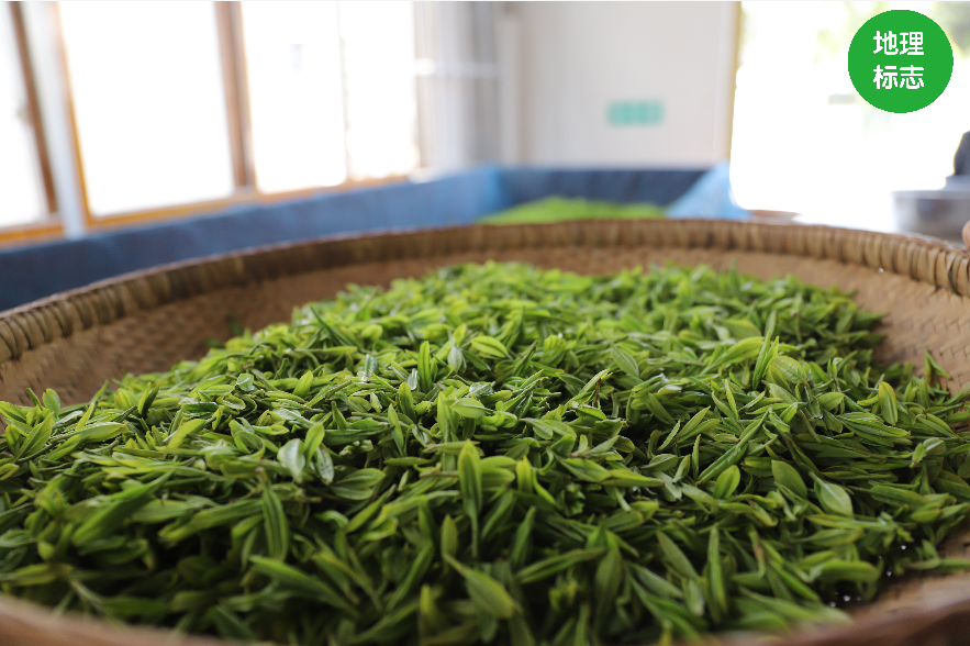茶小硒恩施高山富硒茶