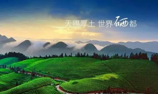 茶小硒恩施高山富硒茶