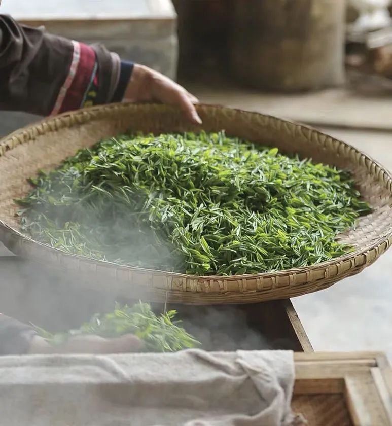 茶小硒恩施高山富硒茶