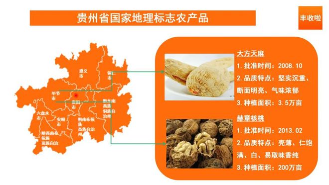 凤冈富锌富硒茶 发酵