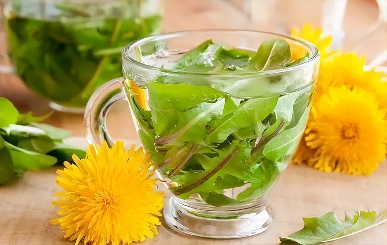 富硒蒲公英茶是什么茶