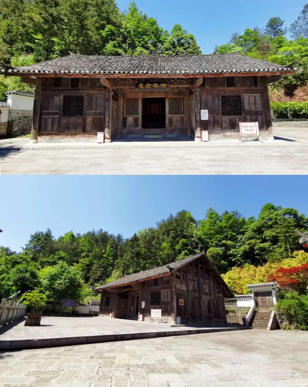 世界硒都恩施高富硒茶