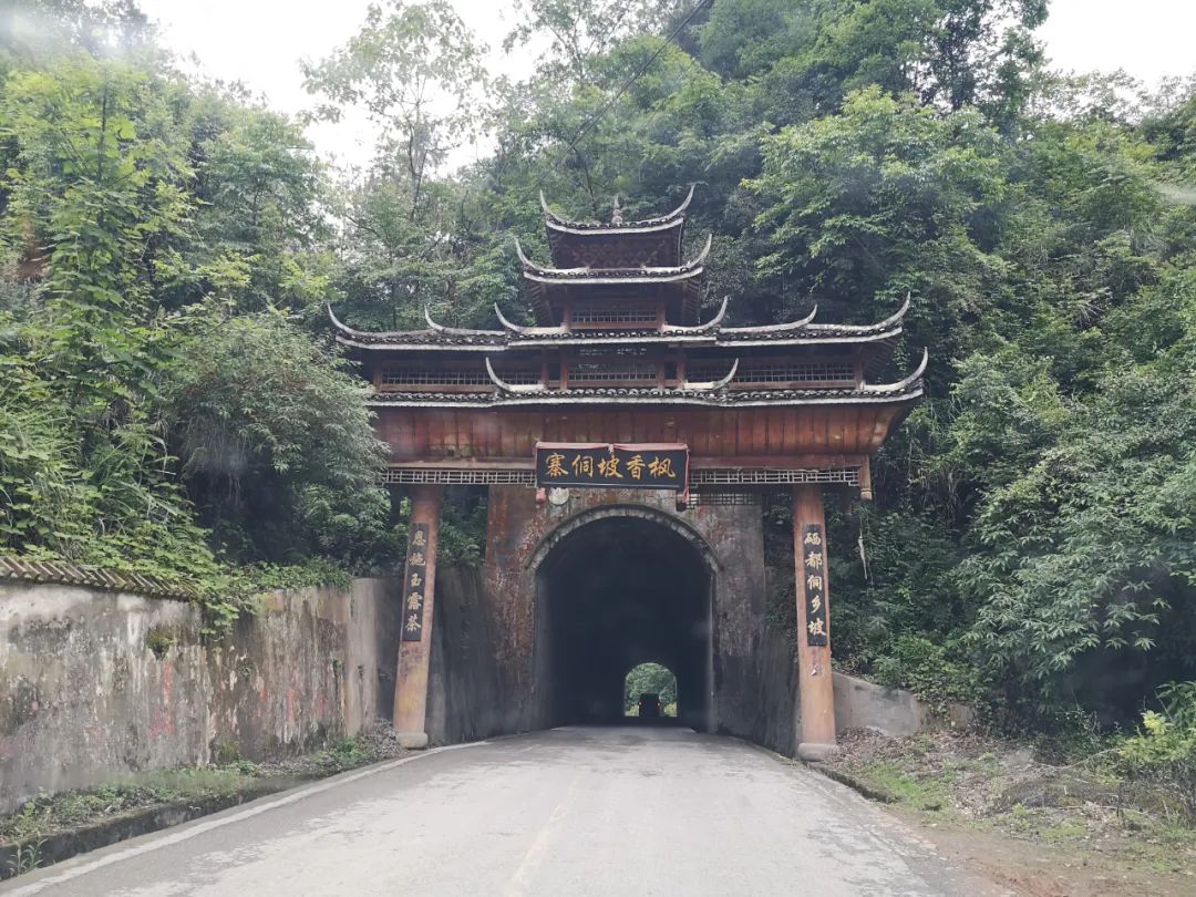 世界硒都恩施高富硒茶