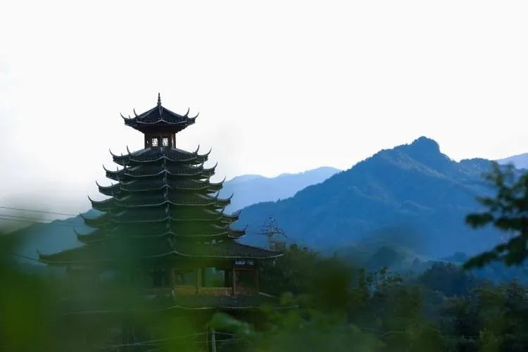 世界硒都恩施高富硒茶