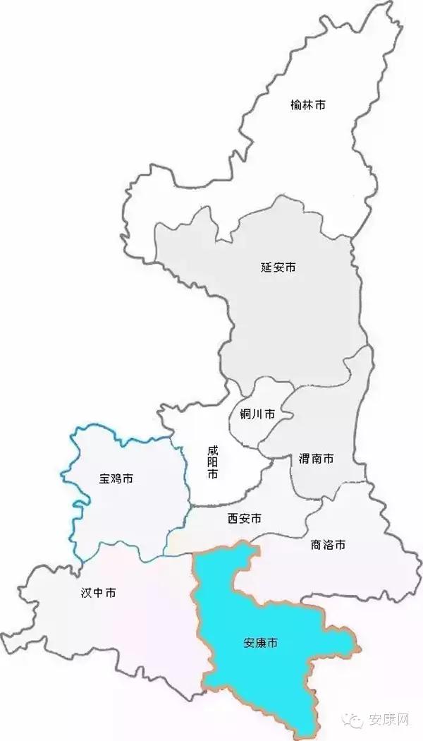 紫阳富硒茶平利绞股蓝