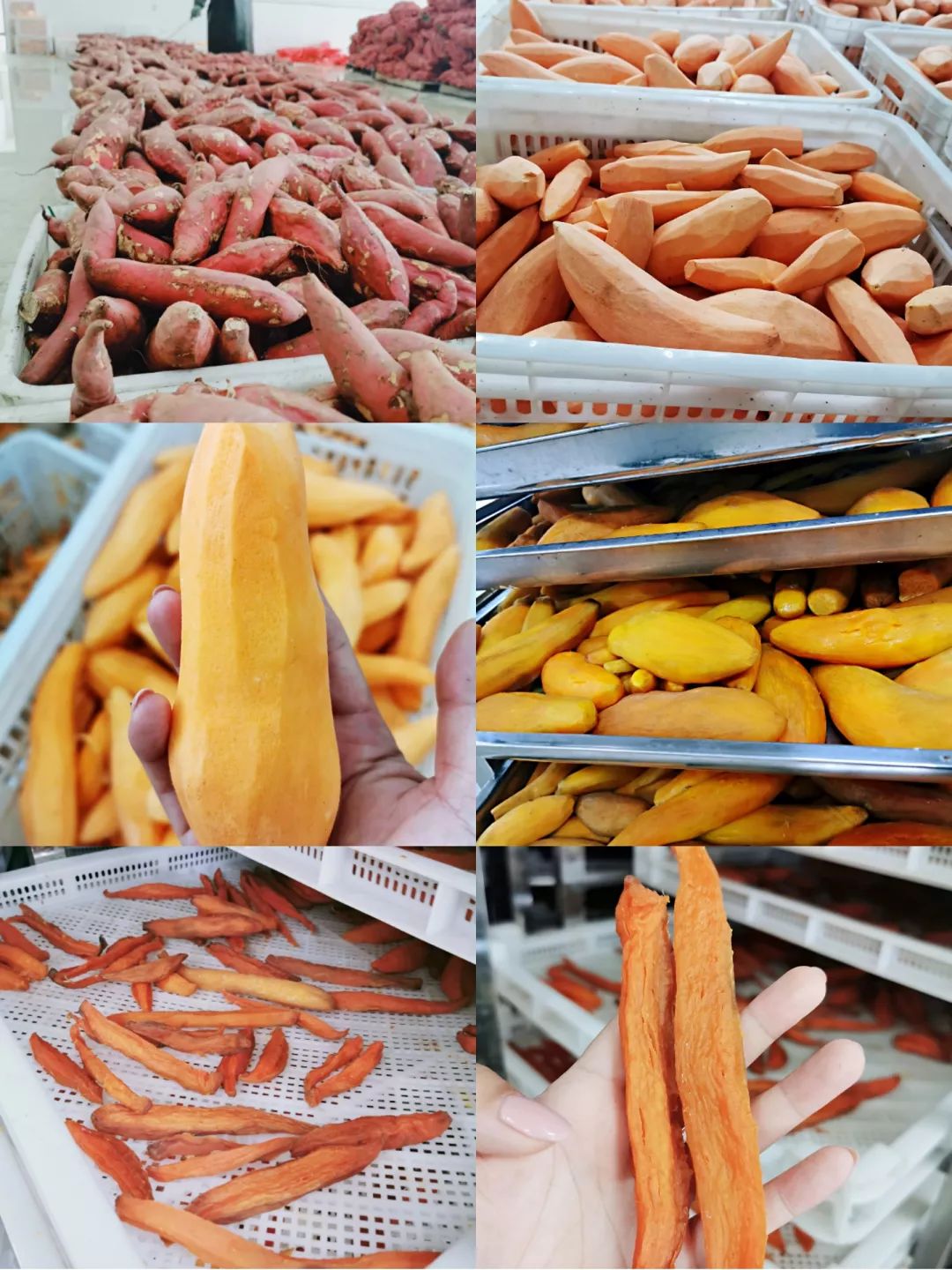 藤茶价格 富硒 丁香