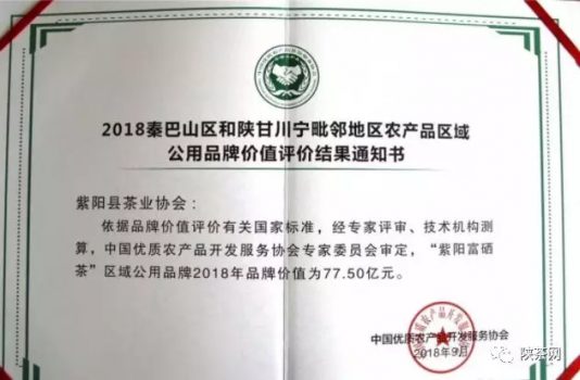 紫阳富硒茶 入选央视
