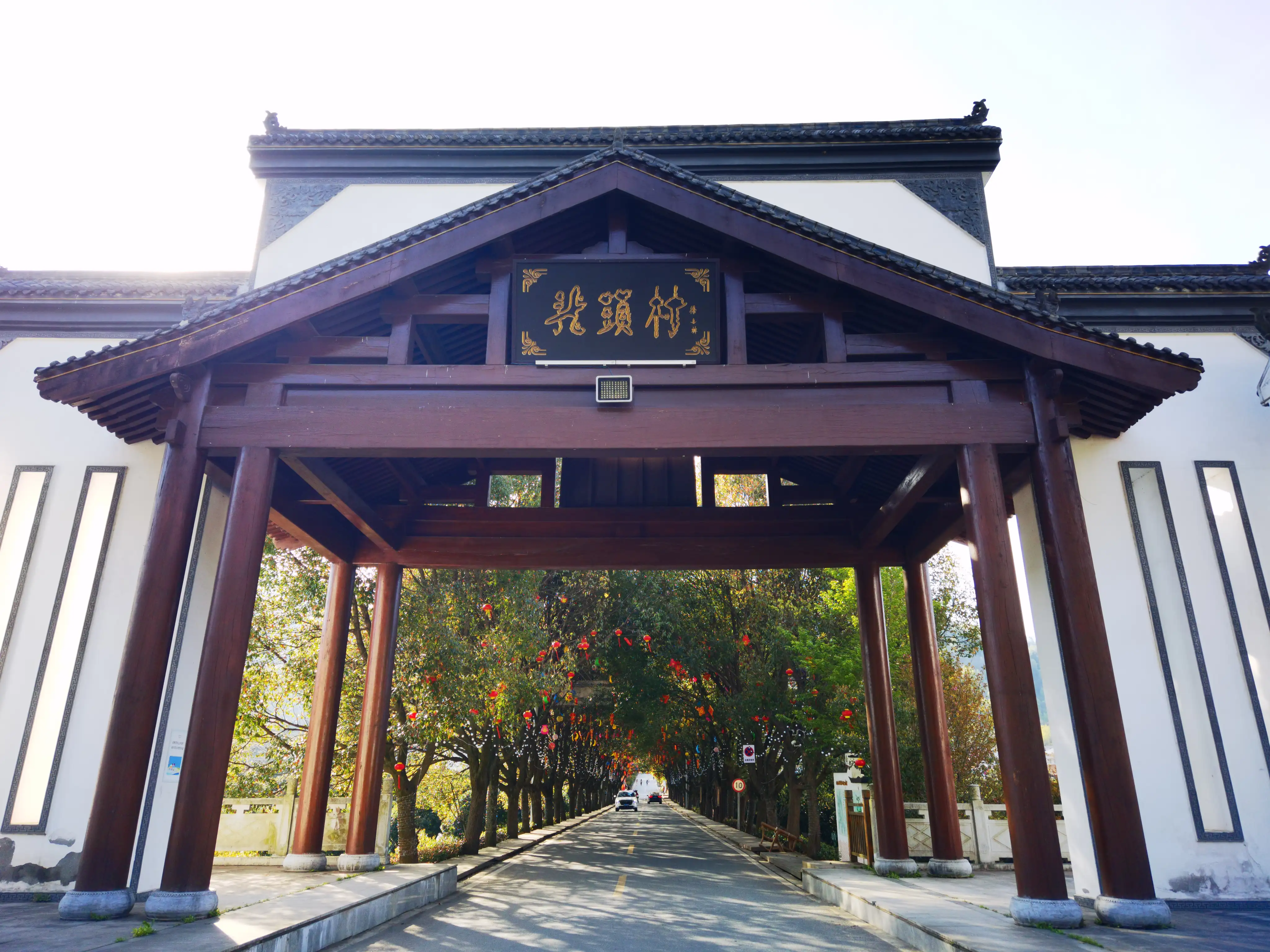 平利女娲茶 富硒绿茶