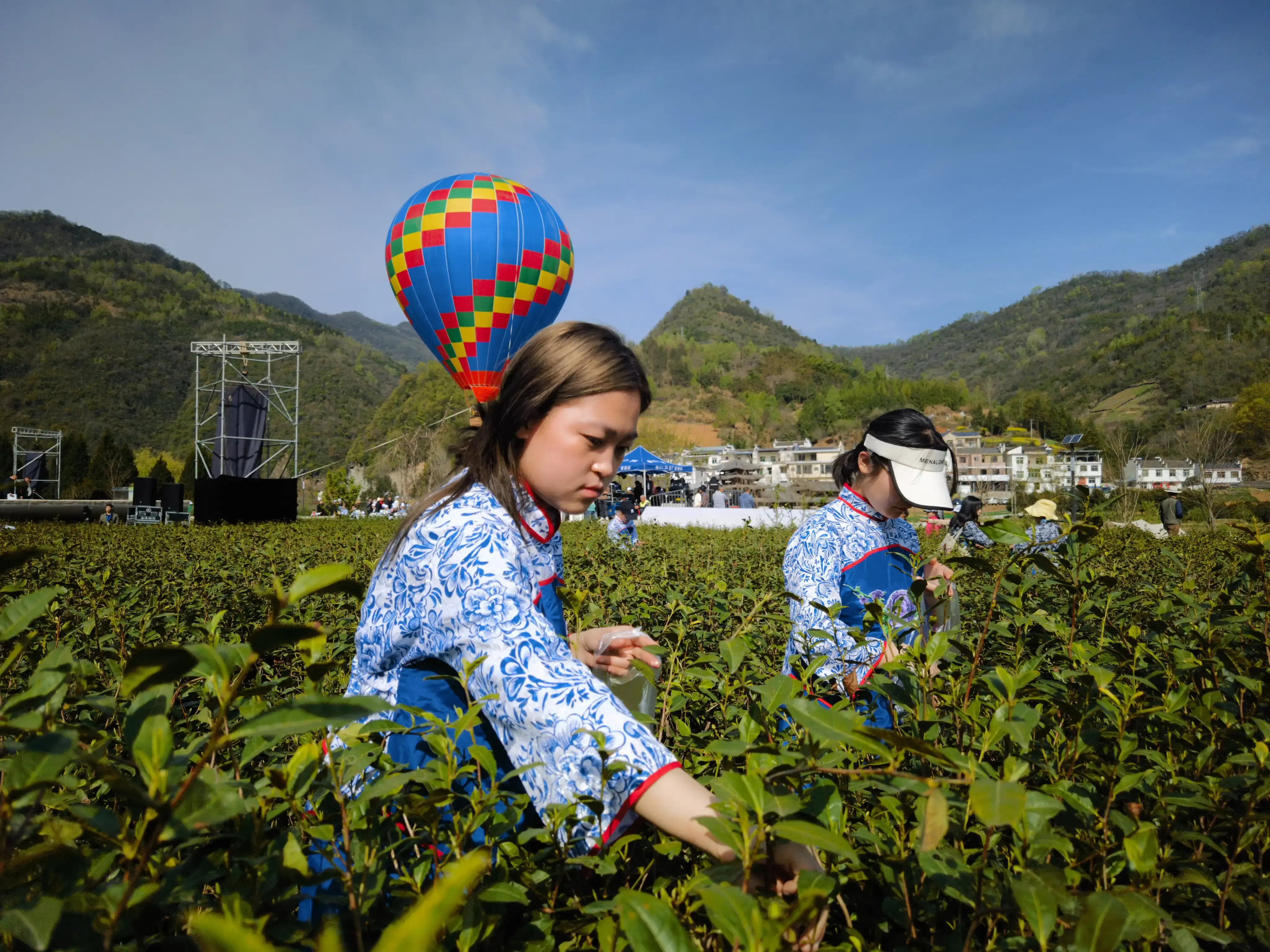 平利女娲茶 富硒绿茶