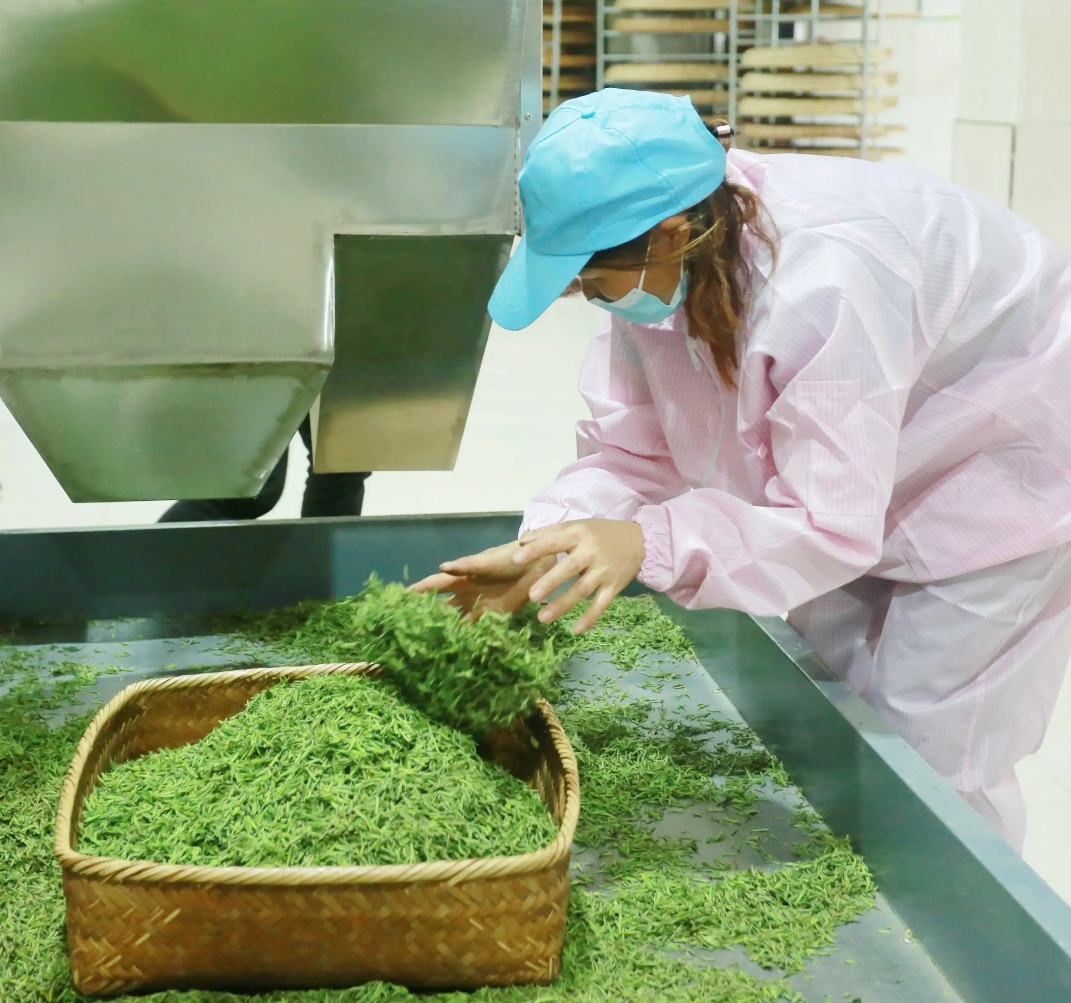平利女娲茶 富硒绿茶