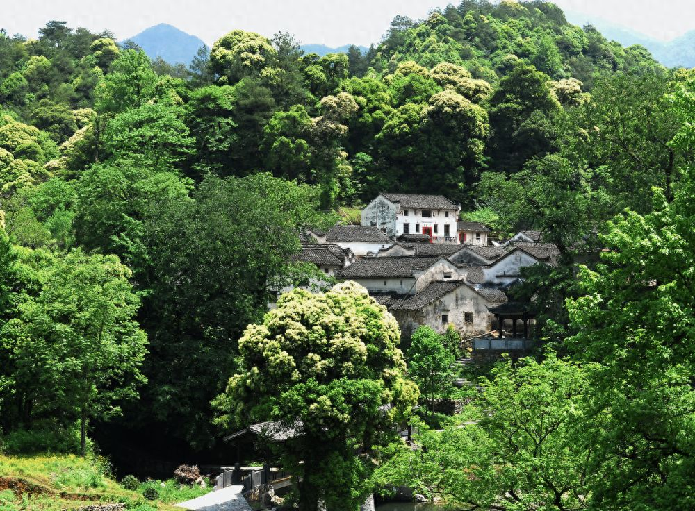 仙寓山富硒茶含硒多少