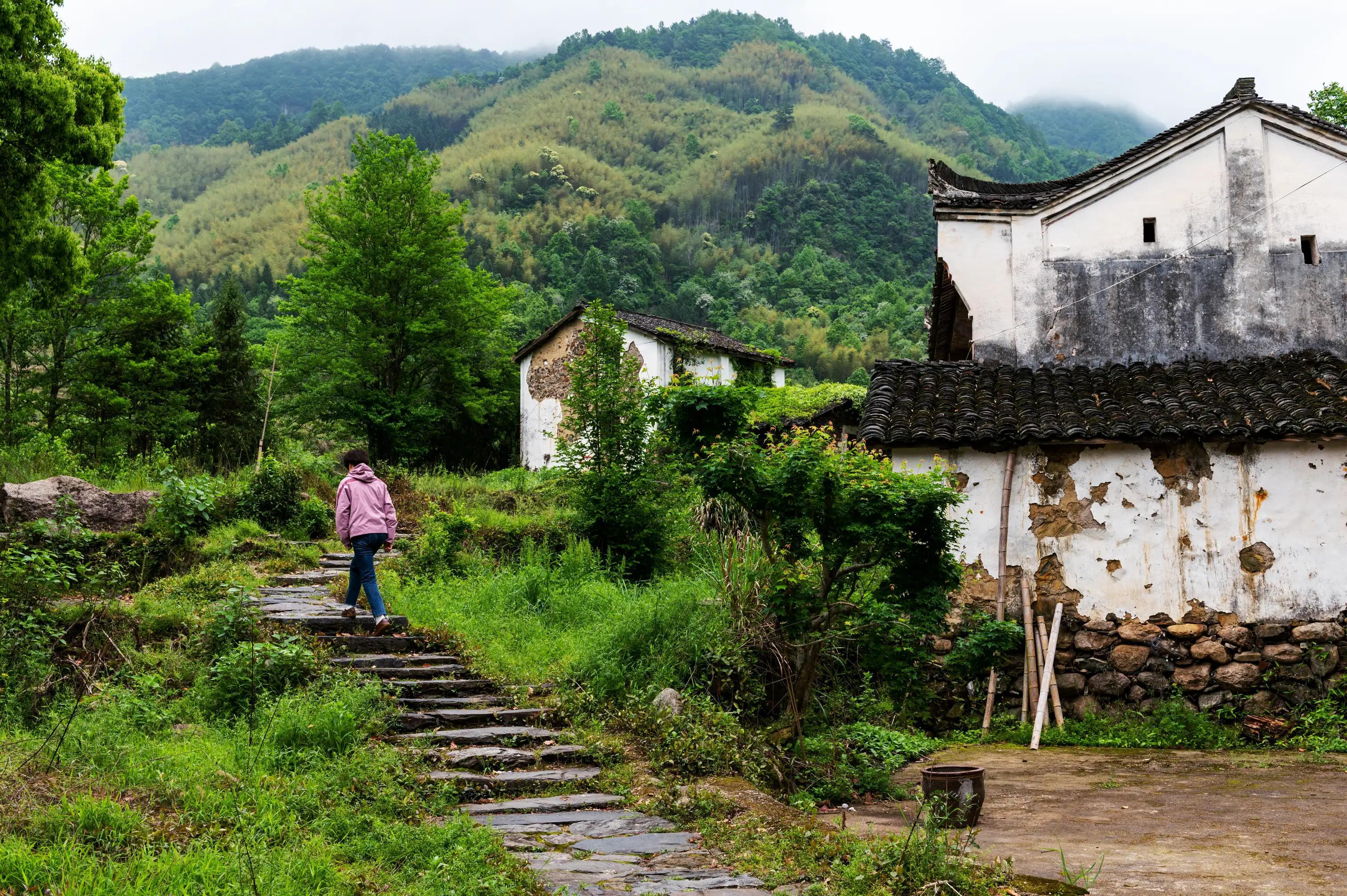 仙寓山富硒茶含硒多少