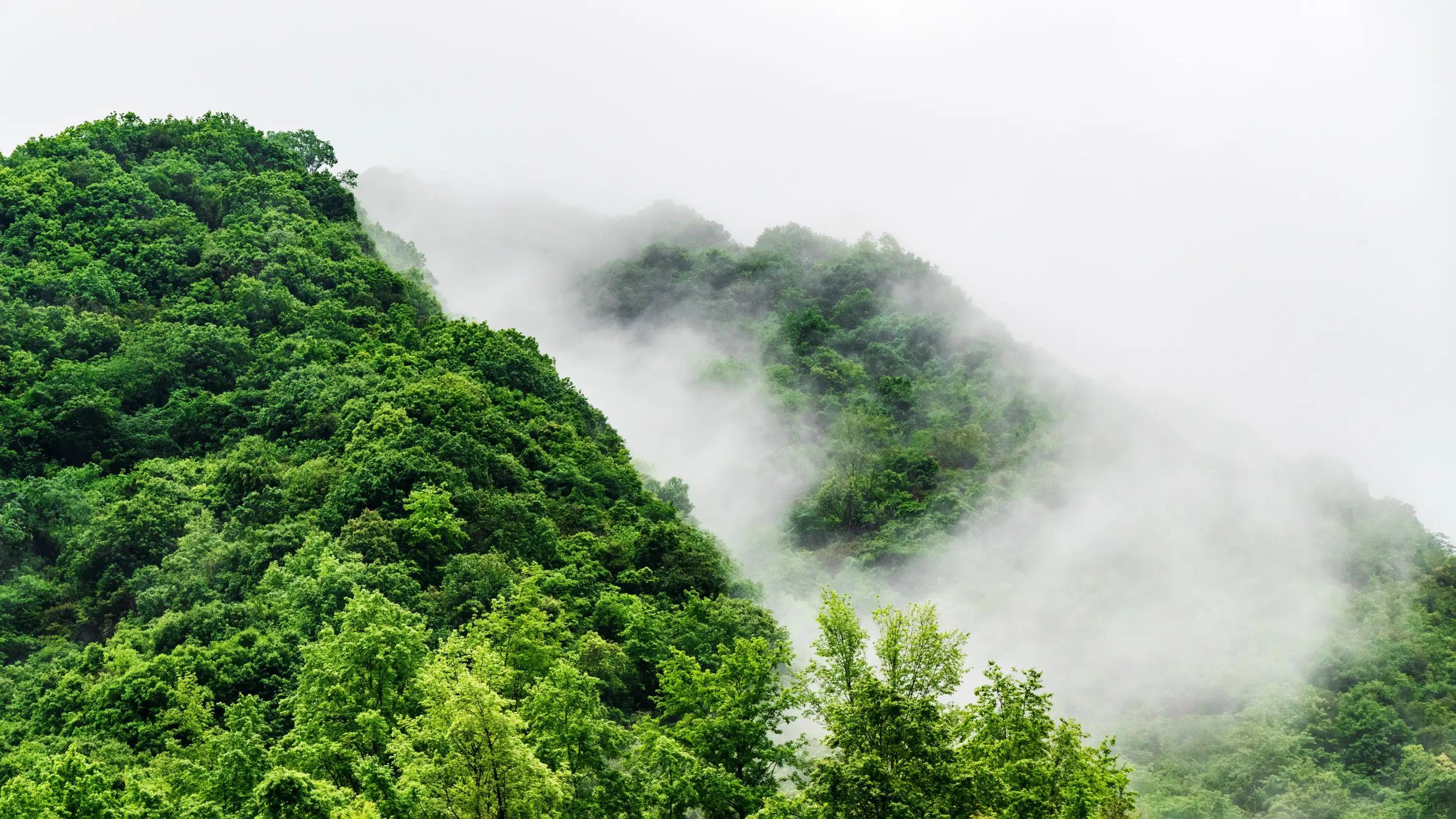 仙寓山富硒茶含硒多少