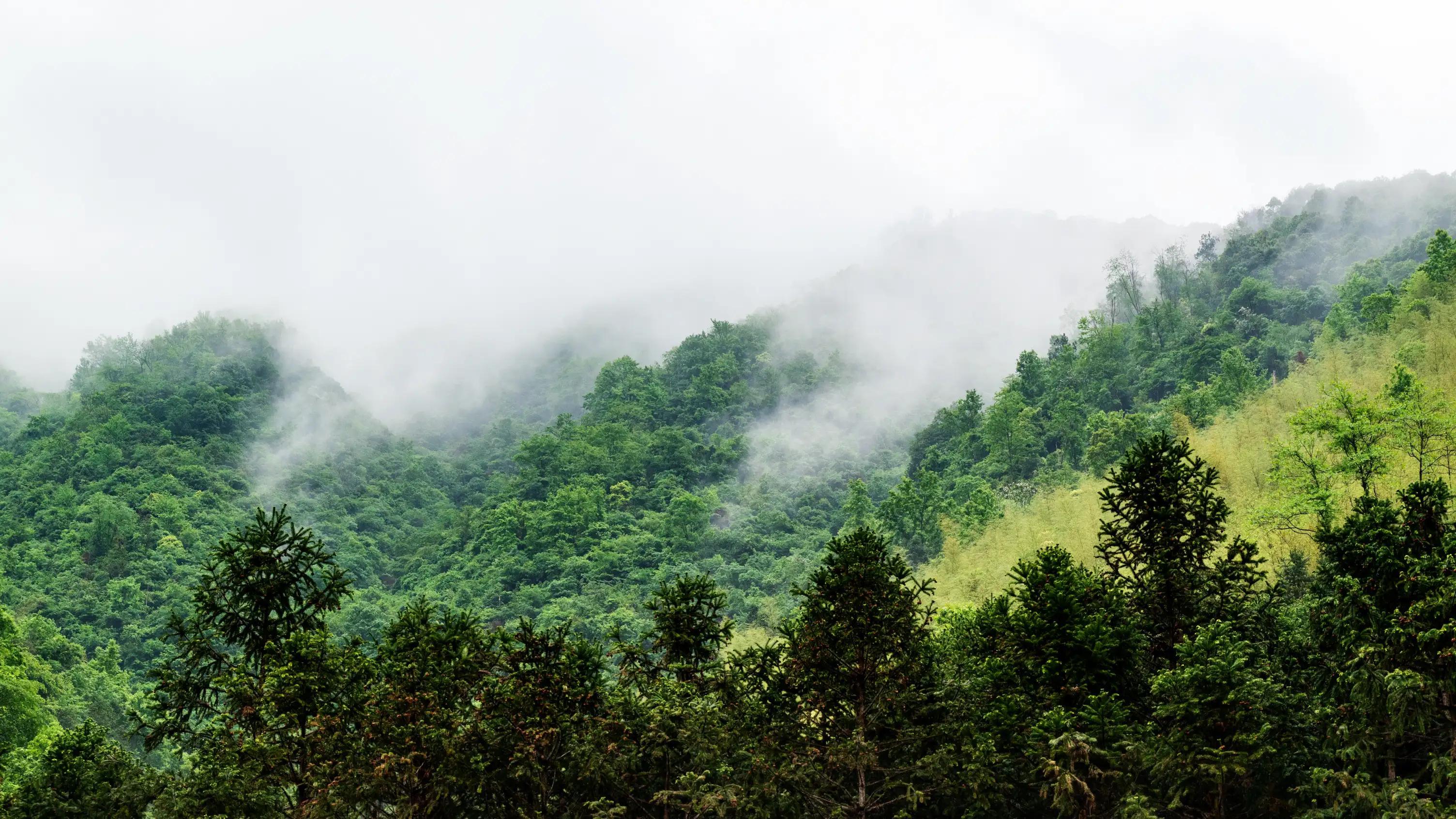 仙寓山富硒茶含硒多少
