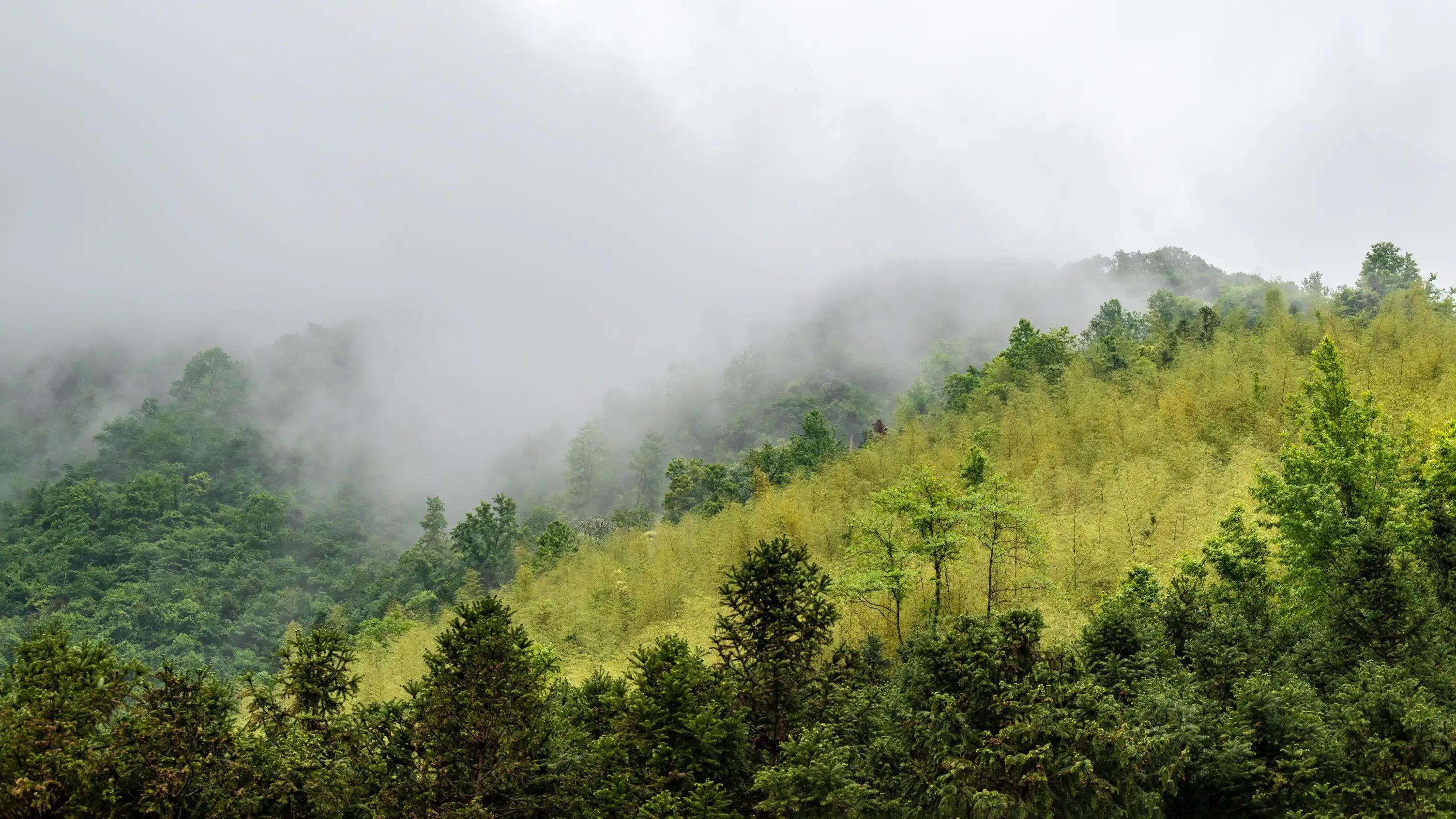 仙寓山富硒茶含硒多少