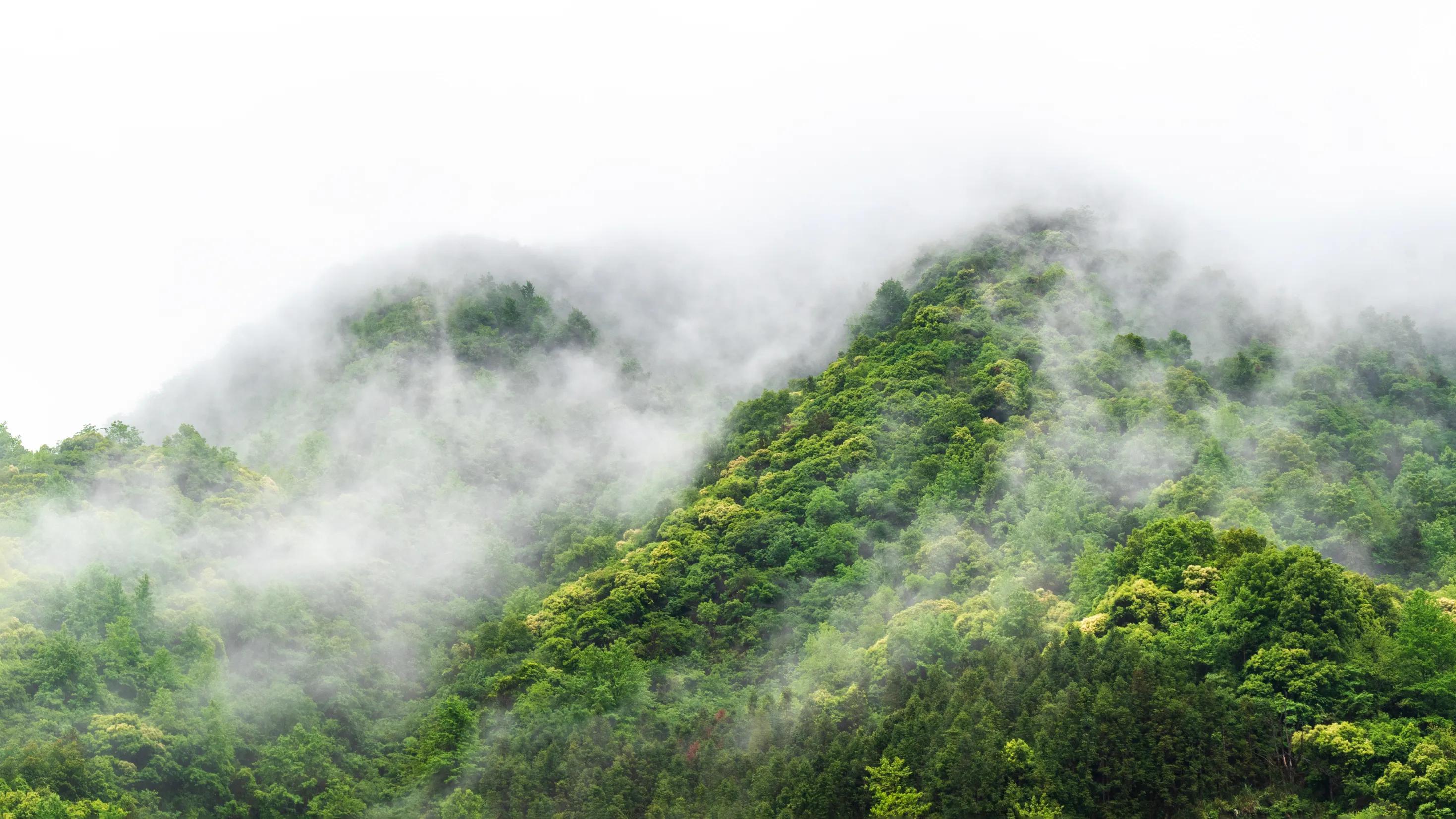 仙寓山富硒茶含硒多少
