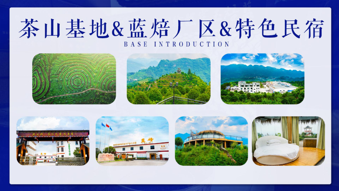 硒妃蒋家坡秋木富硒茶