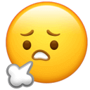 补钙牛奶什么牌子好