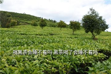 喝黑茶会睡不着吗 黑茶喝了会睡不着吗