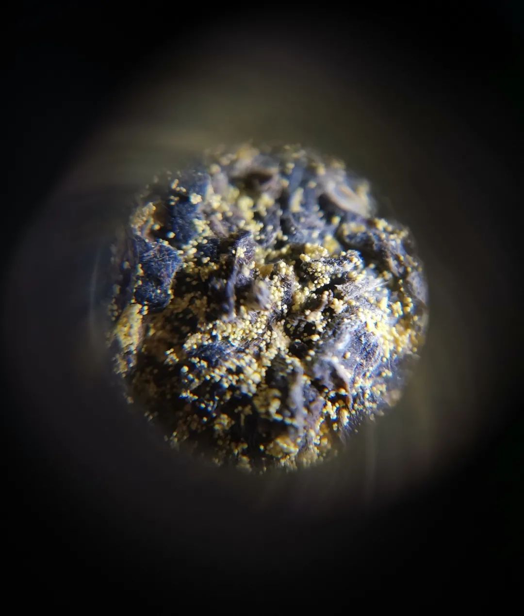 紫阳富硒茶是什么型茶
