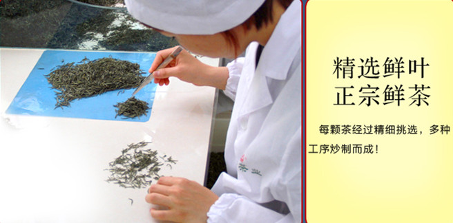 紫阳毛尖茶紫阳富硒茶