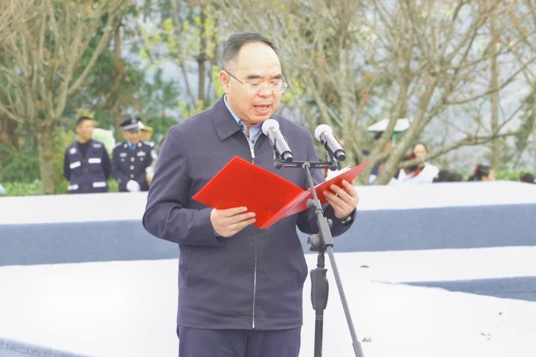 富硒茶是茶尖还是茶叶