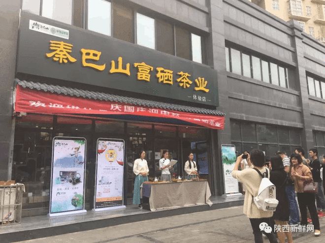 秦巴山富硒茶是什么茶