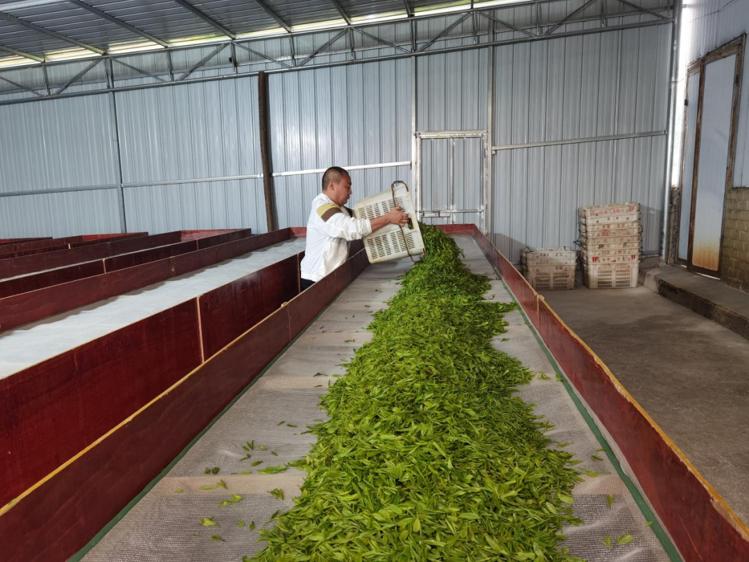 开阳富硒茶地理标志图