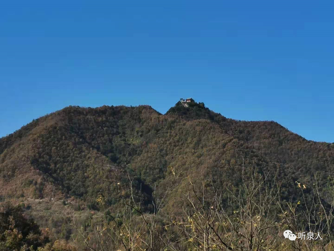 紫阳富硒茶基地在哪里