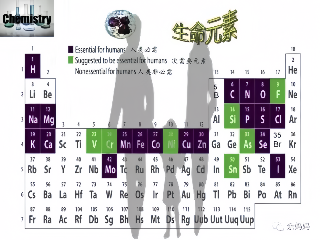 微量元素能检查出什么