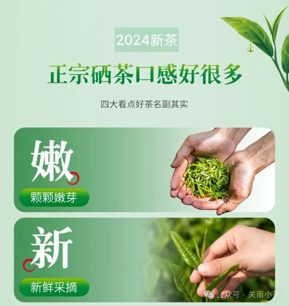 紫阳毛尖就是富硒茶吗