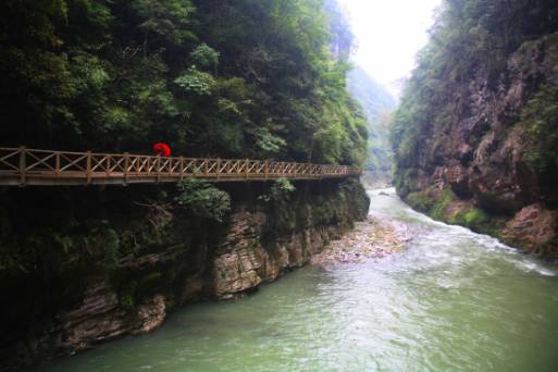 贵阳富硒茶可以减肥吗