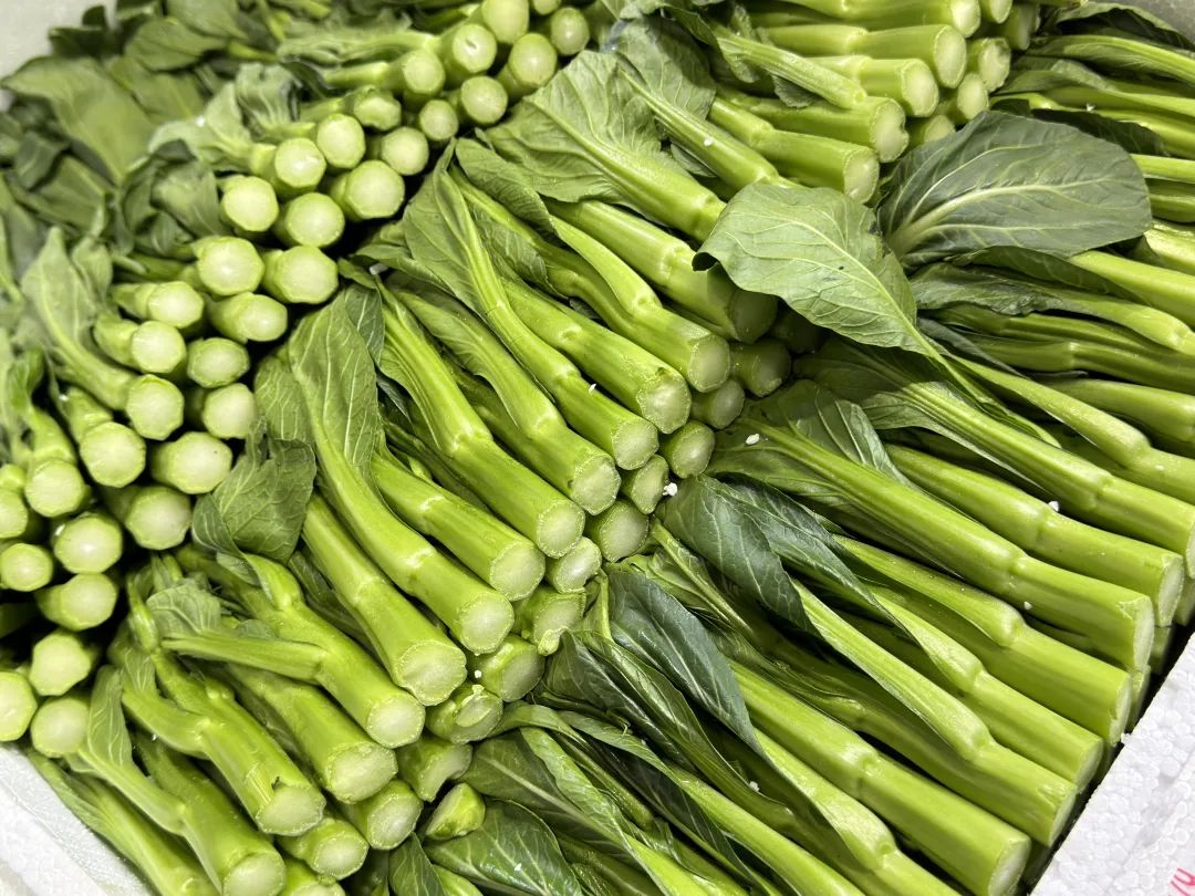 湖北恩施富硒茶怎样买
