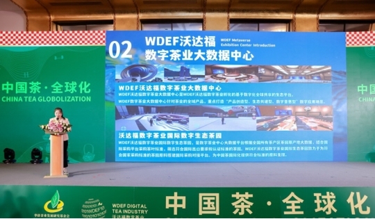 WDEF沃达福数字茶业：数字化赋能茶业创新，中国茶品牌出海迎来新机遇