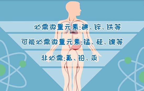 微量元素5项是指什么