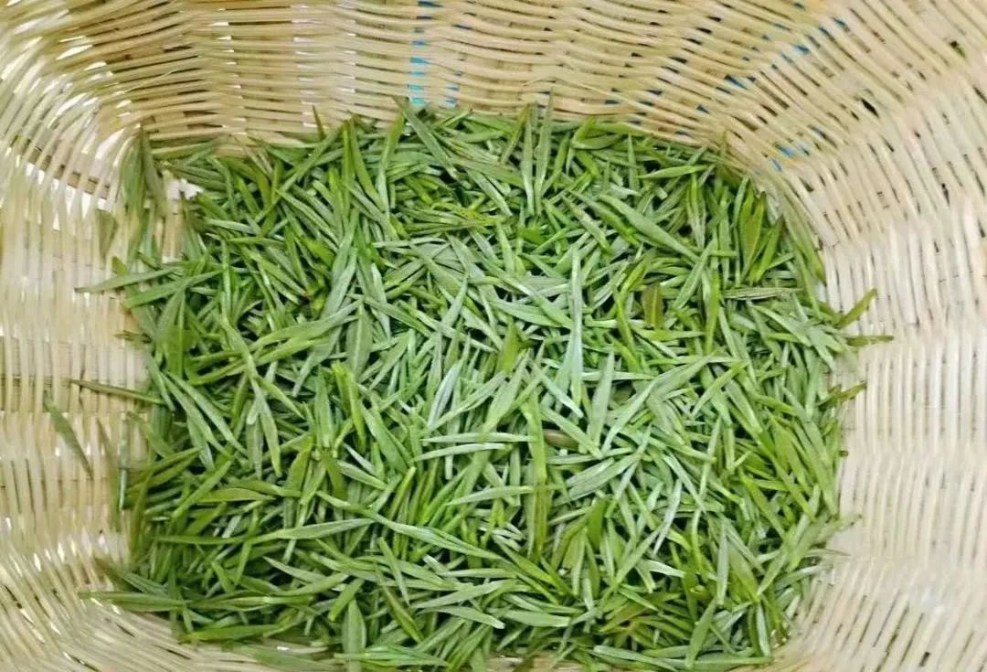 富硒茶和碧螺春哪个好