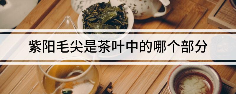 紫阳毛尖和富硒茶区别
