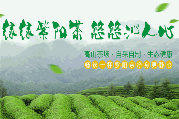 紫沁茶业