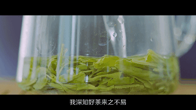 富硒茶是不是绿茶类型
