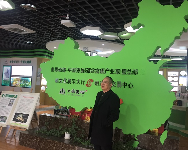 浙江恩施富硒藤茶加工