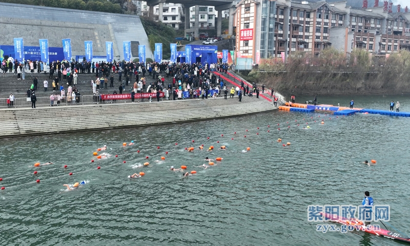 紫阳富硒茶县长来推介