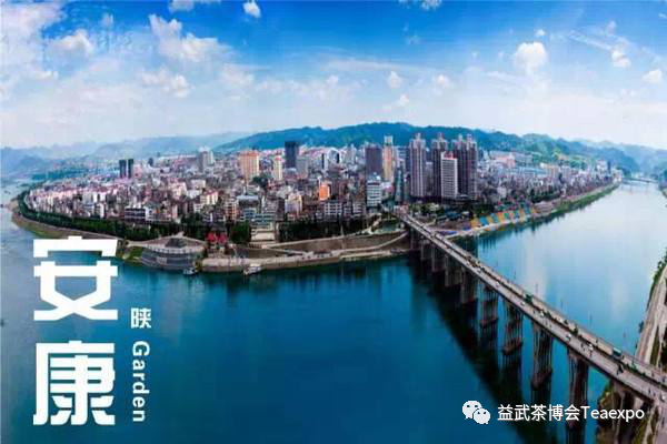 紫阳富硒茶元素含量表