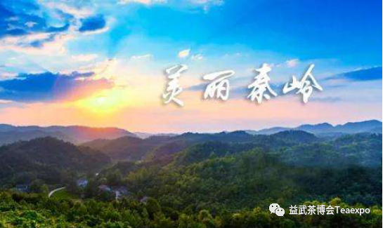 紫阳富硒茶元素含量表