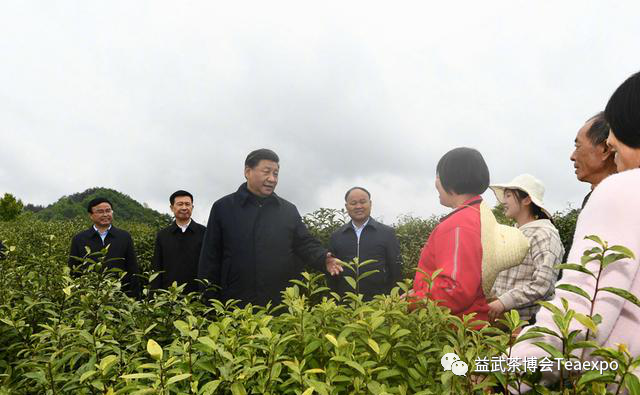 紫阳富硒茶元素含量表